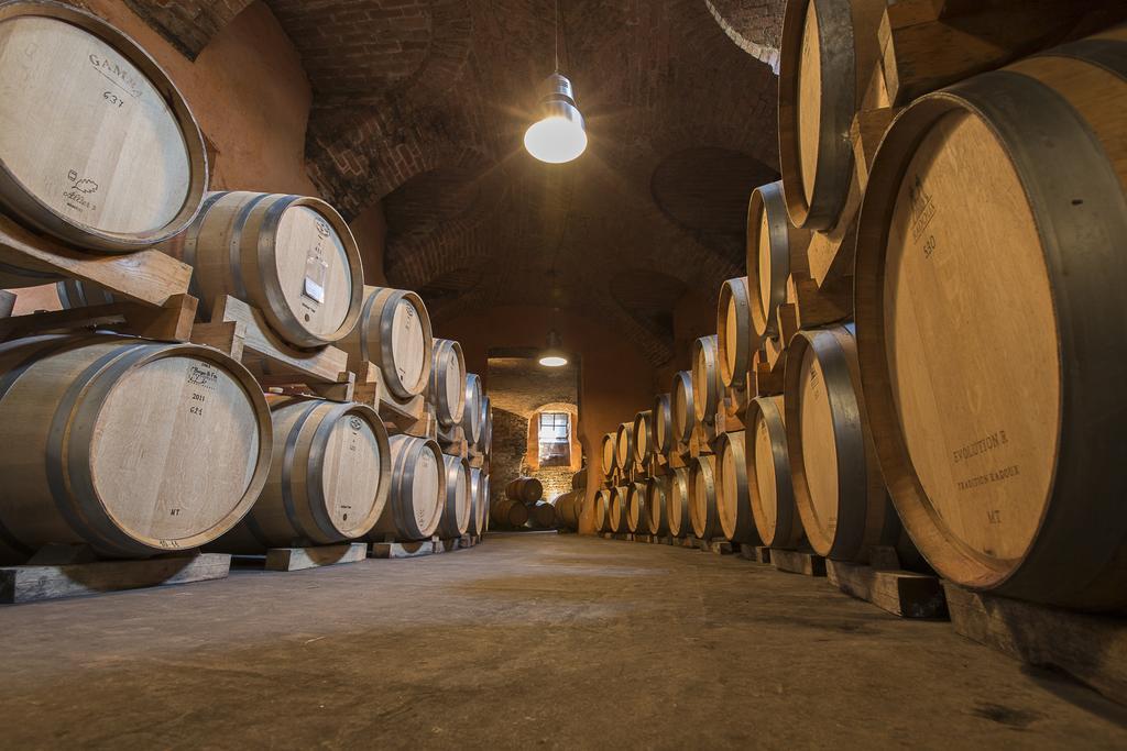 Marchesi Alfieri - Cantine E Ospitalita San Martino Alfieri Exteriér fotografie